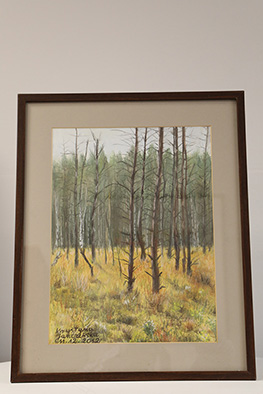 Obraz numer 7. Krystyna Janczewska. Las Wawerski. Pastel. Rozmiar 40 x 30 cm. Ramka brązowa metalowa.